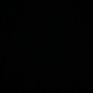 Meet your Posher, Brayden